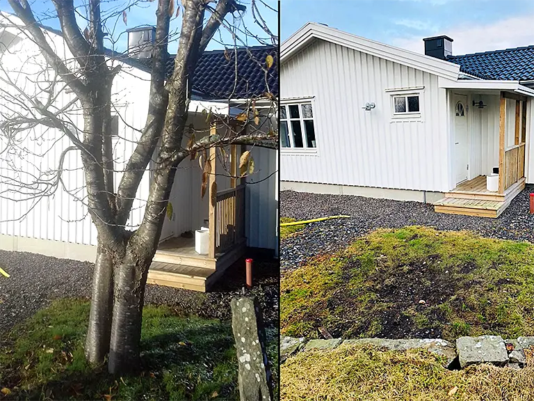 TRädfällning och stubbfräsning i Varberg